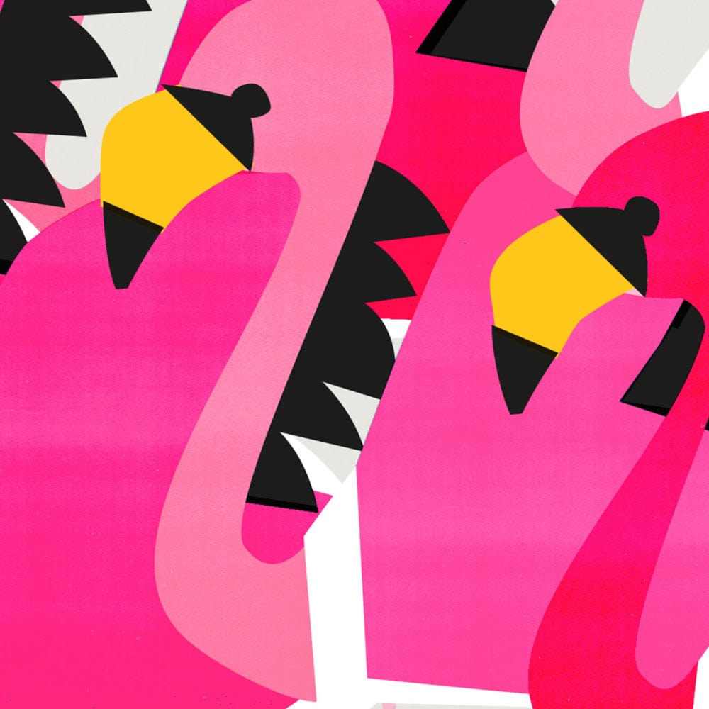 Zoomed-in view of flamingo beaks and heads, showcasing their striking black and yellow details.